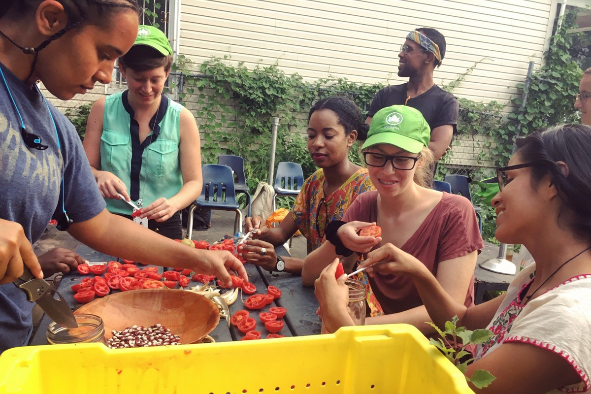 Participants at a Truelove Seeds seed-keeping workshop at Taqwa Community Farm in the Bronx. (Photo courtesy of Truelove Seeds)