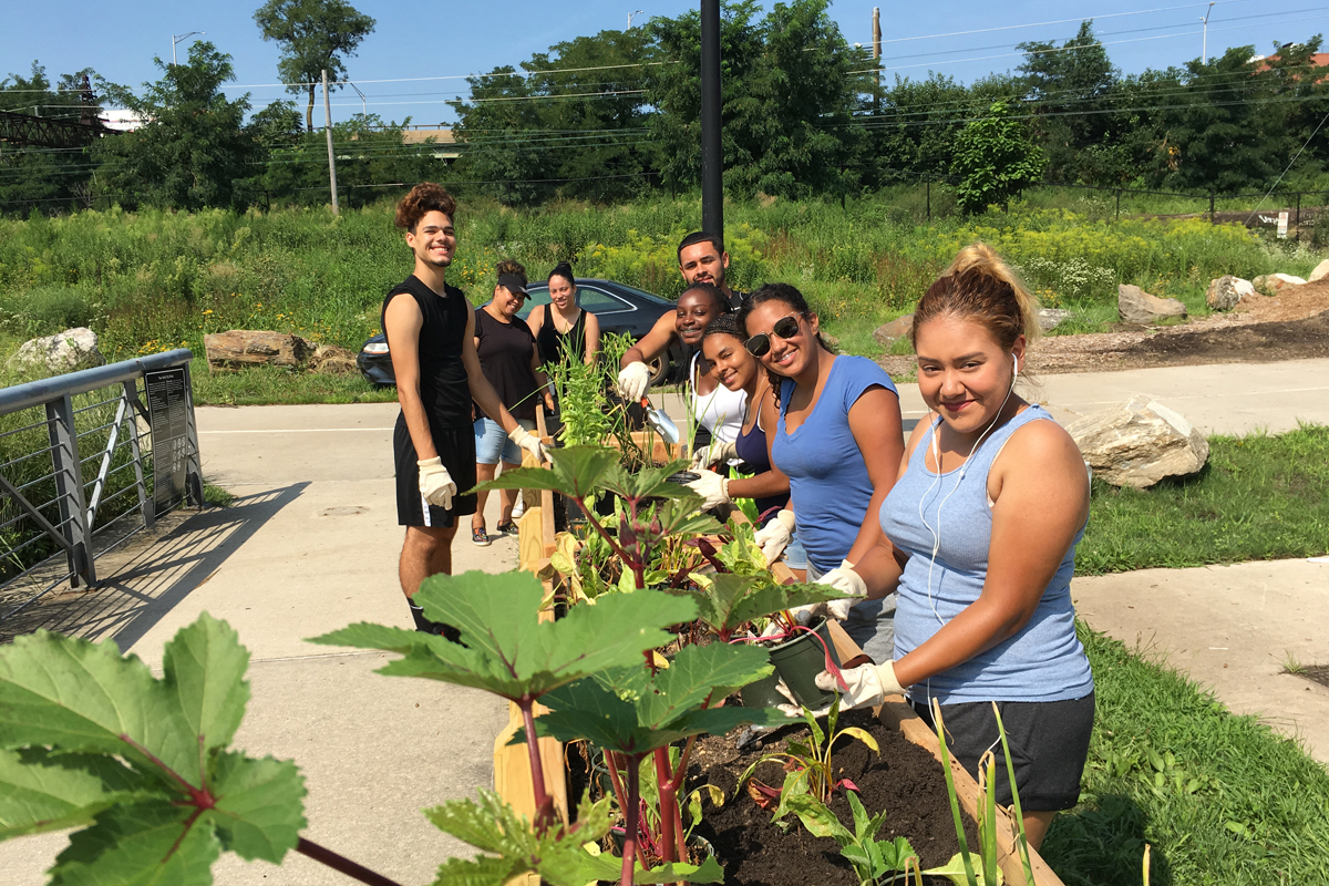 A team of farmers working at the Bronx Foodway as part of a program from Youth Ministries for Peace & Justice and New York City's Summer Youth Employment Program. (Photo by Nathan Hunter)