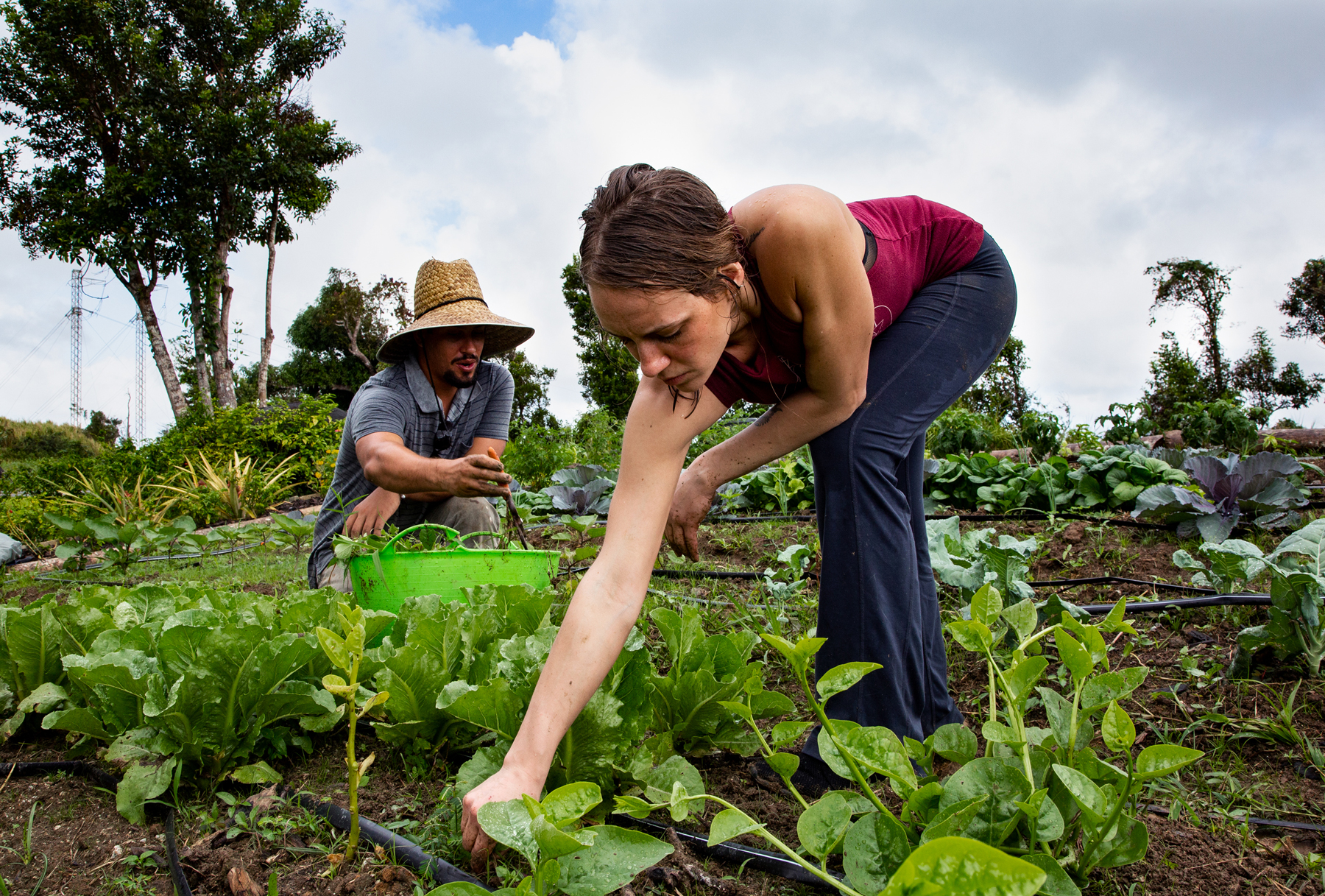 When Richelle and her partner, Dallas were planning their vacation to Puerto Rico, they knew they wanted to volunteer somewhere for a day. They reached out to World Central Kitchen’s Puerto Rico team, who coordinated a visit to ARECMA where they helped farmer Jose for the day. Pictured above: Richelle + Jose.