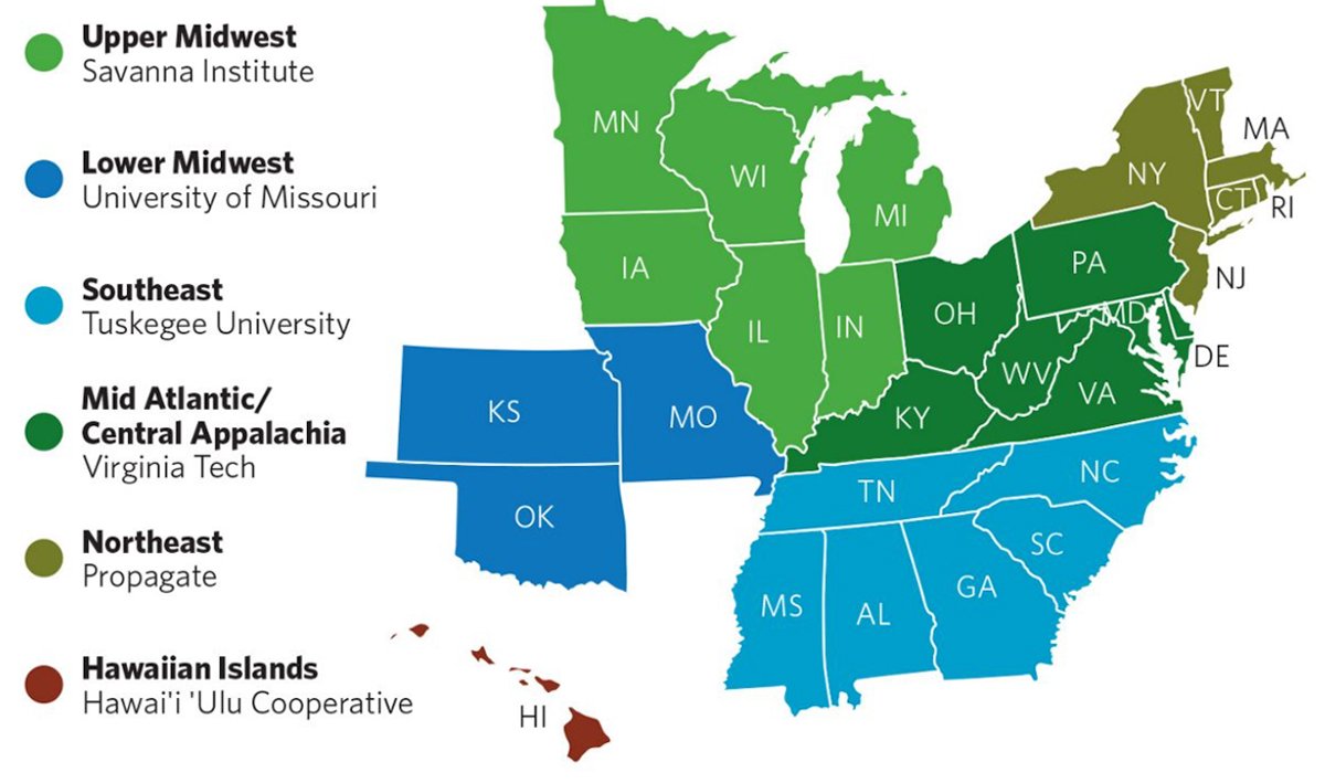 Agroforestry currently represents less than 1 percent of U.S. agriculture. This project aims to create 30,000 acres of new agroforestry plantings over the next five years. (Courtesy of The Nature Conservancy)