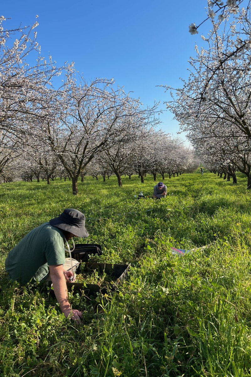 Researchers in the field studying regenerative agriculture