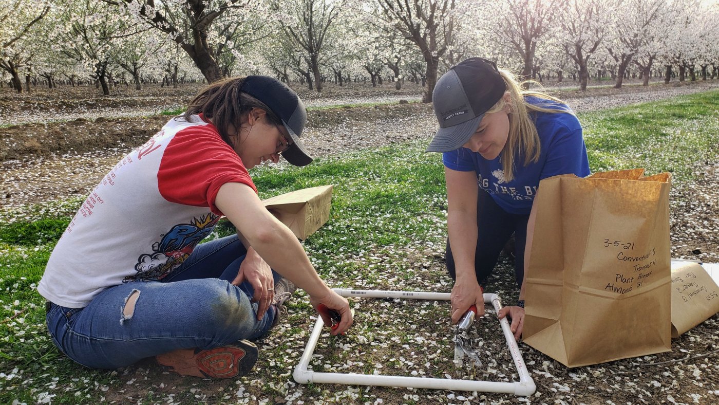 researchers preparing a soil carbon study. (Photo courtesy of the XX)