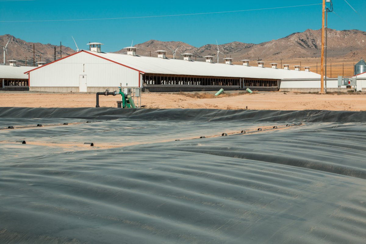 An anaerobic digester covering a waste lagoon in Milford, Utah, as part of an Align RNG project supported by Smithfield Foods and Dominion Energy. (Photo credit: Align RNG)