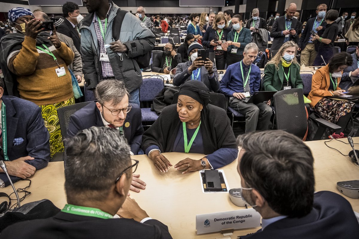 Negotiators, including from the Democratic Republic of Congo (center), during the COP 15 talks in Montreal. (Photo CC-licensed by the United Nations)