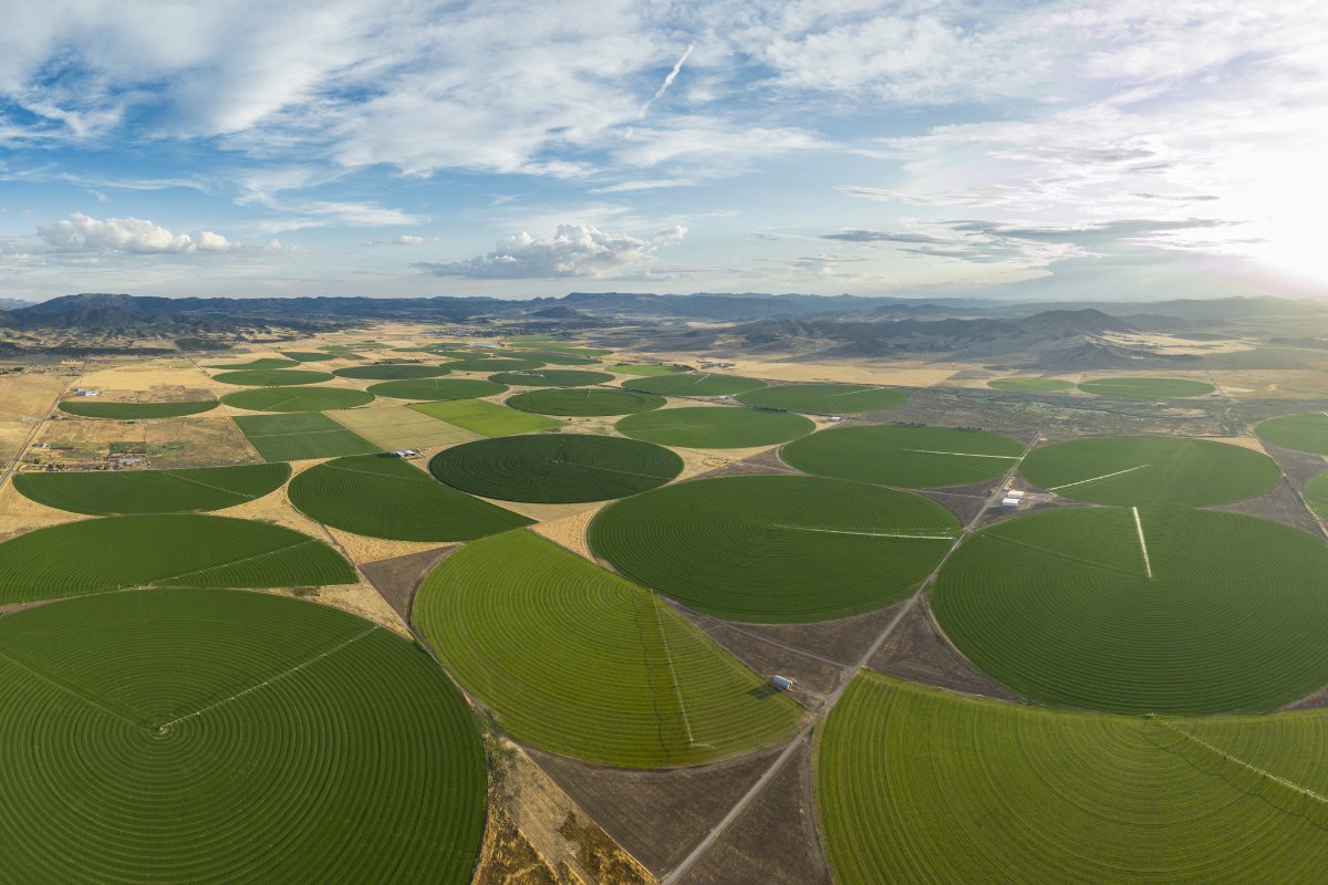 Center-pivot irrigated fields in Utah. (Photo credit: Cavan Images)