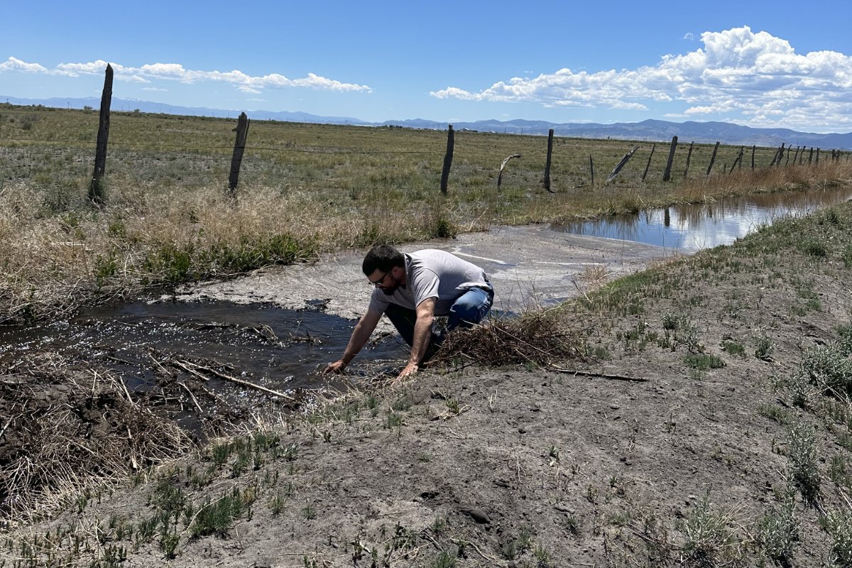 A farmer stands on the dry-ish ground next to low water managing the irrigation system in Colorado.