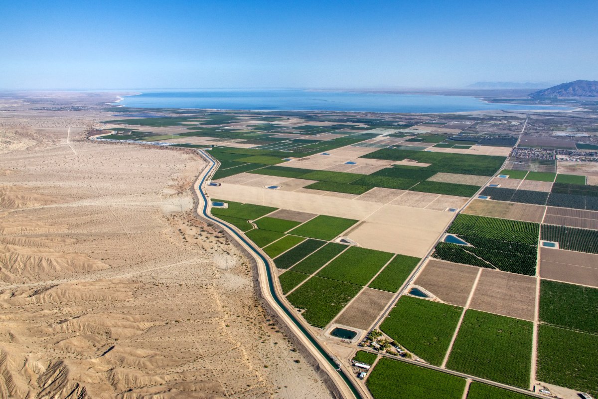 Irrigated farmland in the desert of the Imperial Valley. (Photo credit: Steve Proehl, Getty Images)