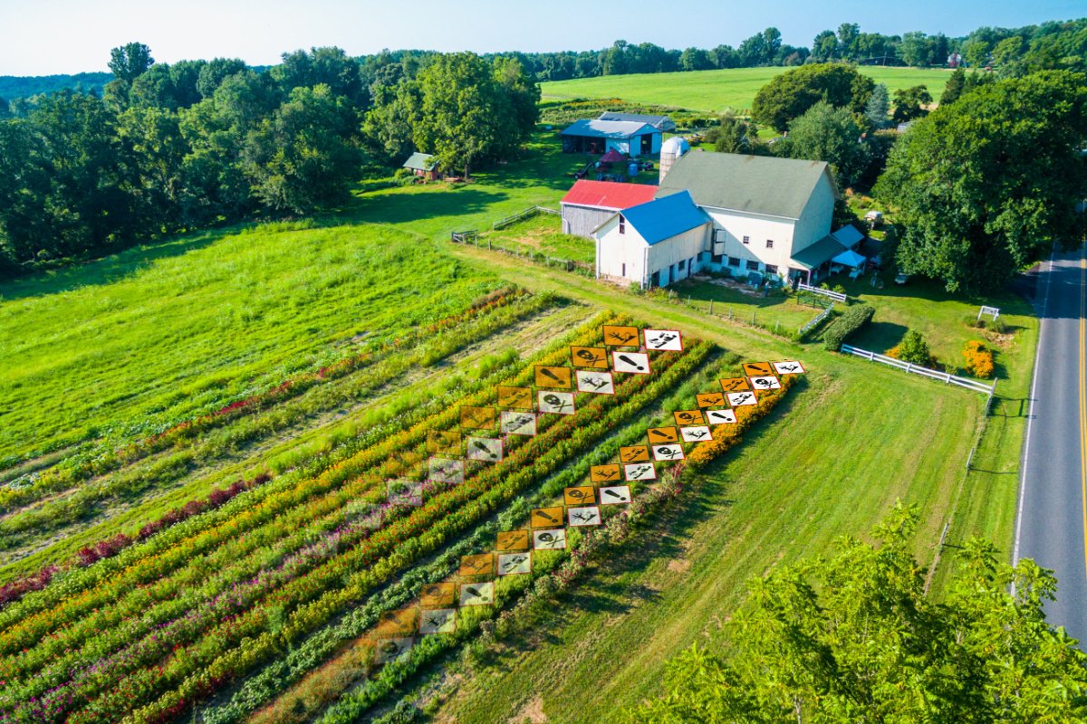 An overhead photo of a diversified vegetable farm in Fallston, Maryland, with hazardous chemical symbols appearing between the rows of crops. (Civil Eats illustration; photo credit: Edwin Remsberg, Getty Images)