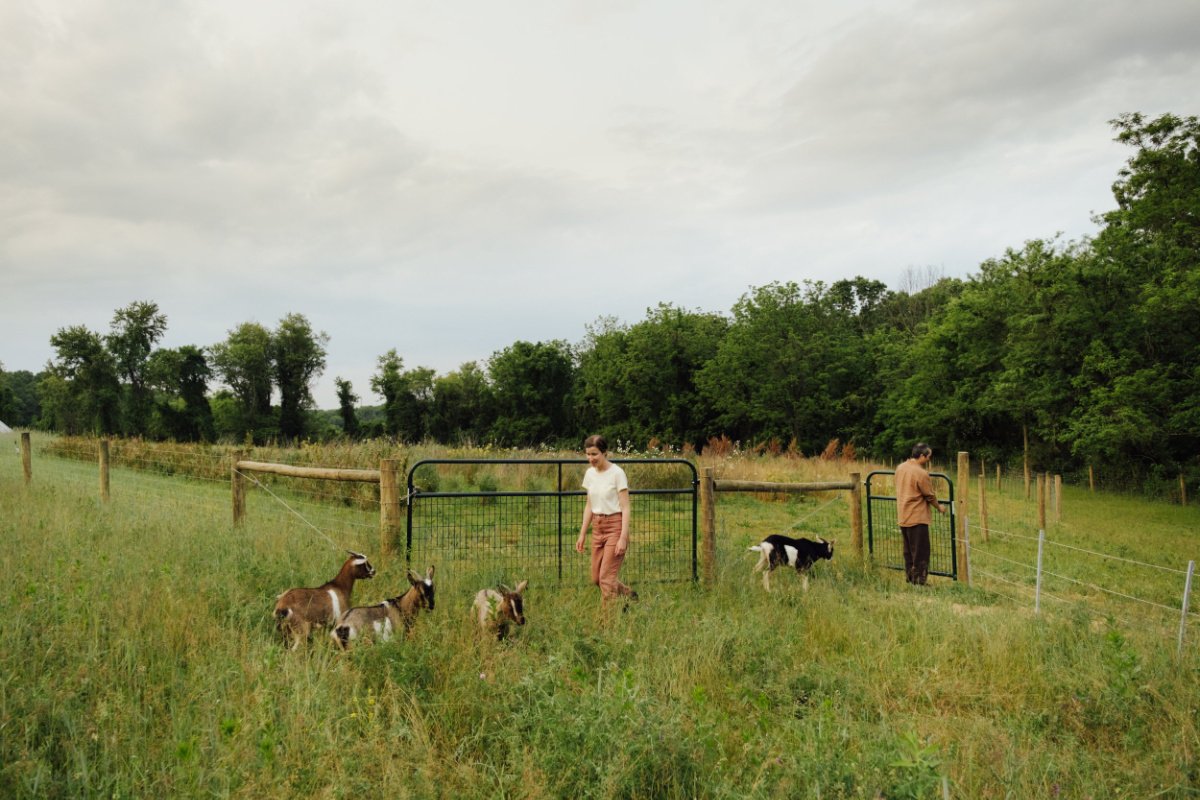 an outdoor ranch with small farm animals