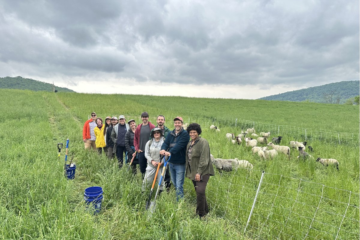 A group of farmers stand in a large field with sheep around them