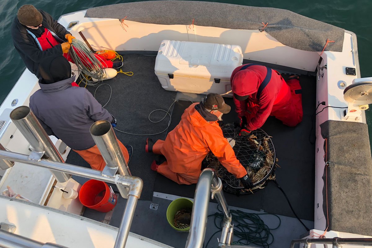 Stanley Ross (at left, coiling rope) and friends pull up crab traps just beyond the Golden Gate Bridge on an early November morning in 2018. (Photo credit: Samantha Ross)