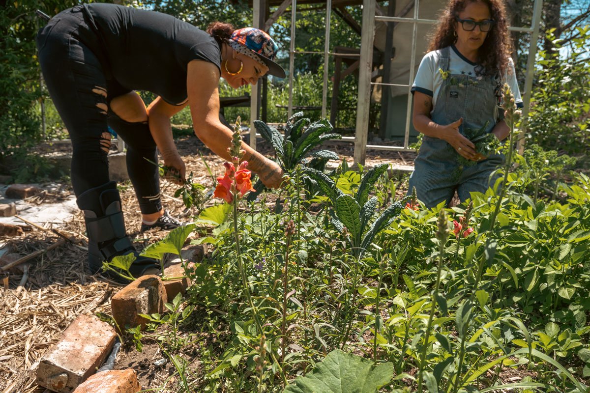 Cedar Annenkovna, left, and jackie sumell harvest vegetables and flowers from a Solitary Garden in the Ninth Ward. (Photo credit: Ben Seal)
