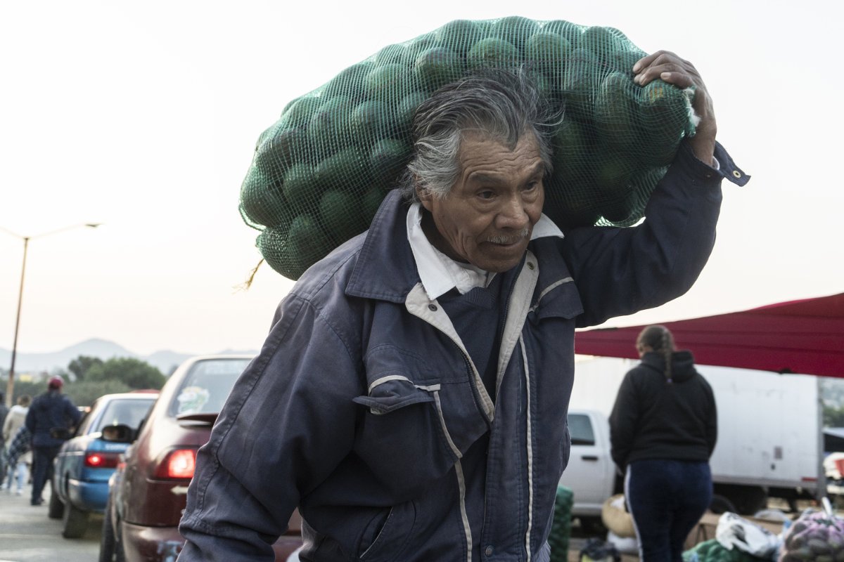 A man carries a sack of Avocados at the avocado market