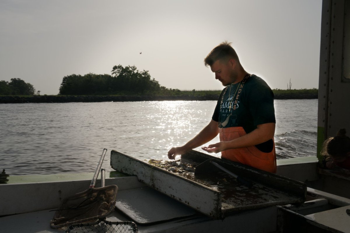 Jared Lemoine sorts shrimp for bait behind Campo's Marina in Shell Beach, Louisiana. (Photo credit: Jake Price)