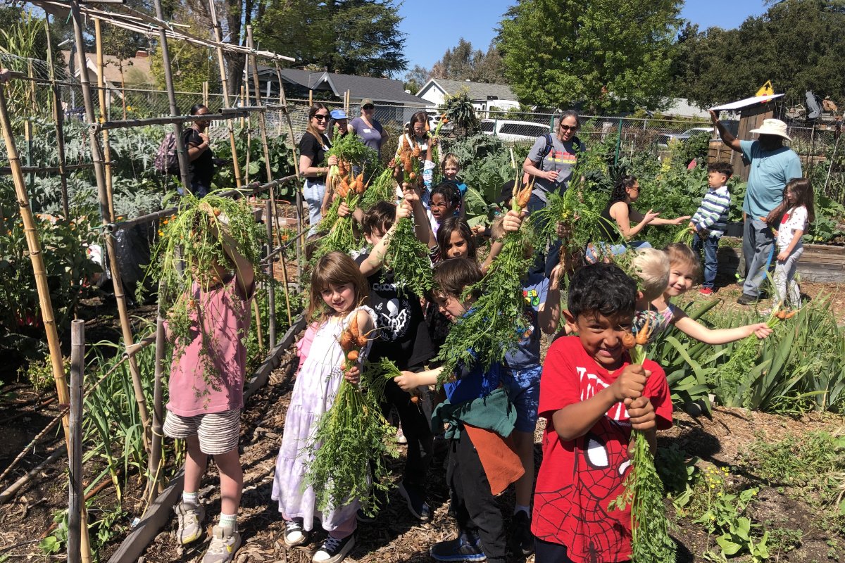 A school tour of the garden in March of 2024. (Photo courtesy of Altadena Community Garden)