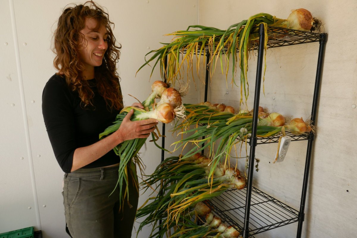 Just days after harvesting, Agroecology Commons co-director Brooke Porter admires the onions grown on the incubator farm. The onions are stored in an on-site walk-in cooler before being sold. (Photo credit: Riley Ramirez)