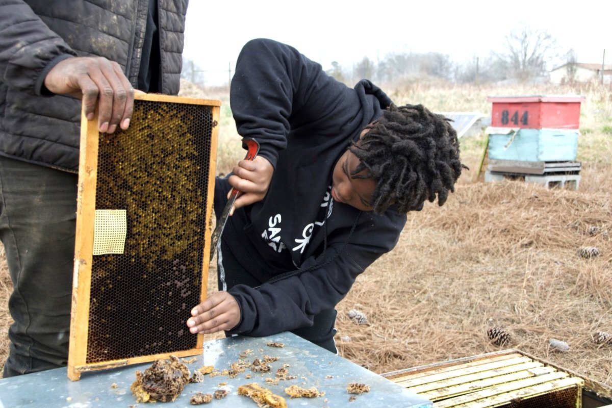 a young African American boy scrapes off old beeswax from a wooden frame on Sankofa Farms in North Carolina, as his dad's hands are in view holding up the frame