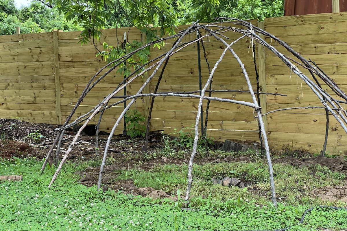 The dome at Hawk’s Nest Healing Gardens, constructed from bent branches, is covered with cloth for sweat lodge ceremonies. (Photo credit: Nicole J. Caruth)