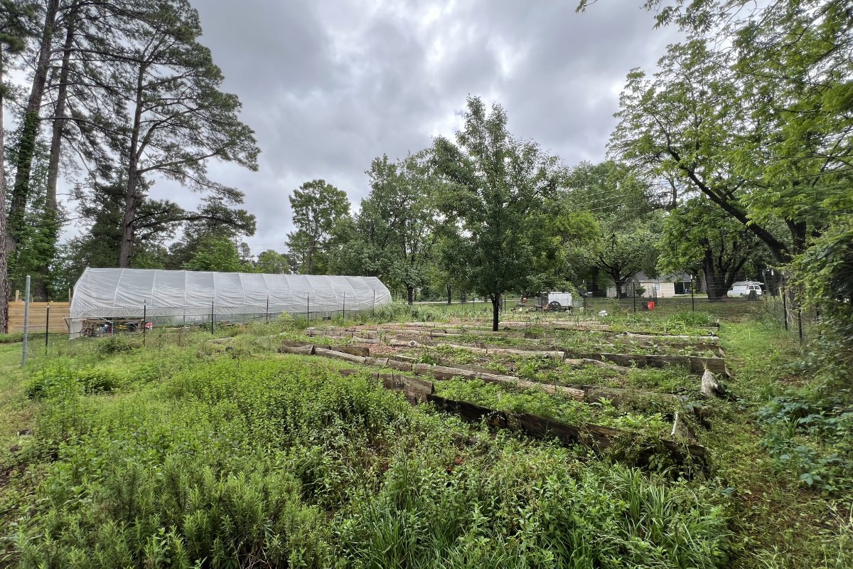 Rosemary, mint, and other herbs flourish in garden beds near a mobile chicken coop at Hawk’s Nest Healing Gardens. (Photo credit: Nicole J. Caruth)