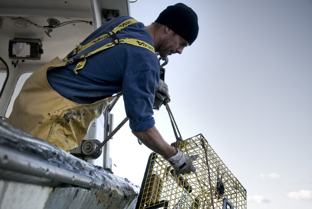 A fisherman pulls up a big fishing cage off of a boat. He is wearing yellow waders and a beanie