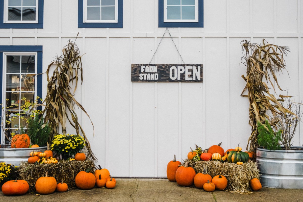 Source Farms is a collective of farmers who sell fresh meat, seafood, and other products at this farm stand in Yamhill, Oregon. Participating purveyors include Tabula Rasa Farms, Pat-n-Tam’s Beef, Dominion Farms, Naked Grazing, and Coleman Farms. (Photo courtesy of Tabula Rasa Farms)