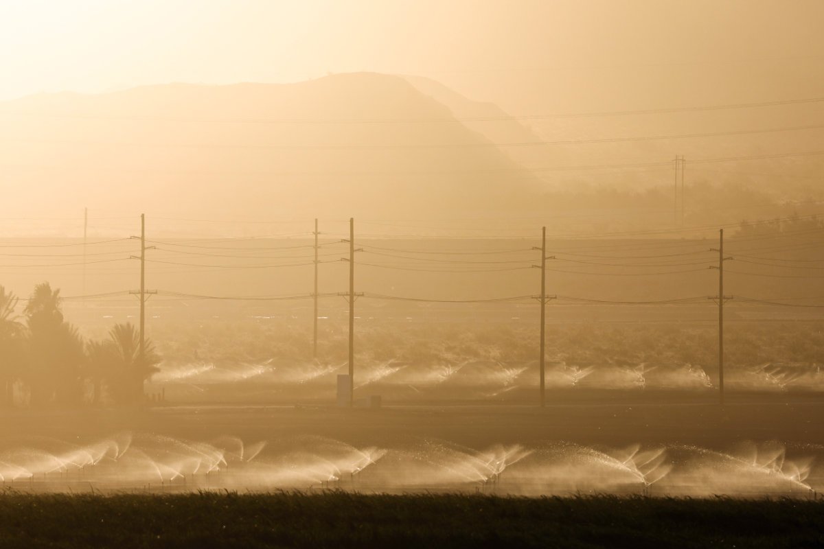COACHELLA, CALIFORNIA - JULY 03: Sprinklers water an agricultural field on July 3, 2024 near Coachella, California. A long-duration heat wave is impacting much of California with authorities warning of extreme health and wildfire risks. An excessive heat warning is in effect for all of the Coachella Valley through July 8th with highs forecast of up to 121 degrees. (Photo by Mario Tama/Getty Images)