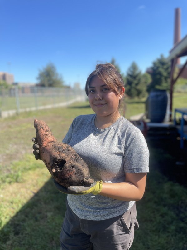 A woman on a farm holds up on a large root vegetable